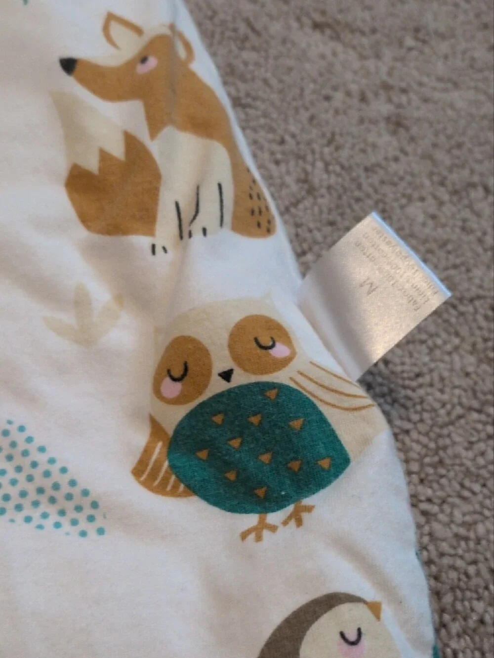 Cozy Forest Friends Kids Sleep Sack - Teal Trim (Size M)